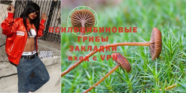 не бодяженный Горняк
