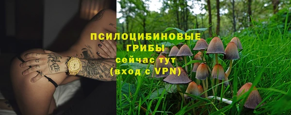 не бодяженный Горняк