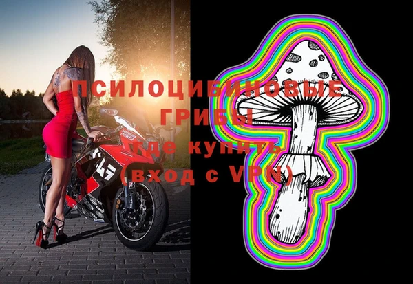 меф Горно-Алтайск