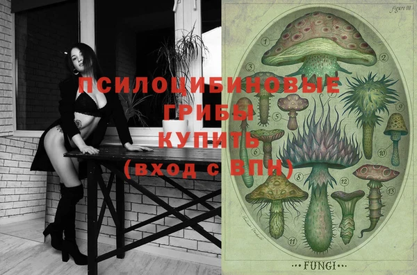 ECSTASY Горнозаводск