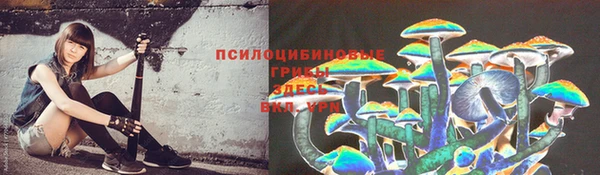 меф Горно-Алтайск