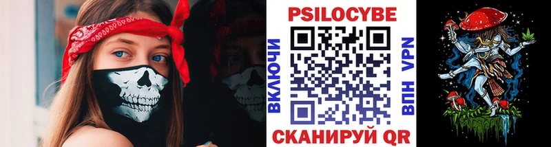 mega ТОР Орлов Галлюциногенные грибы Psilocybine cubensis